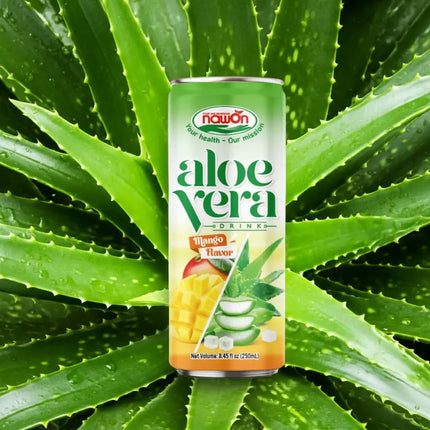 Aloe Vera Mango Flavor 24x250ml zzgl. Pfand 6,00 €